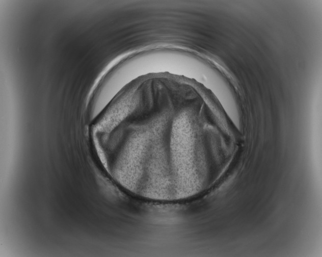 X0000083570934200703091634