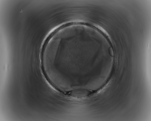X0000083570935200703091634