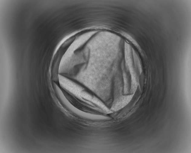 X0000083570936200703091634