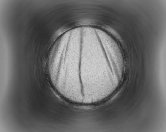 X0000083570937200703091634