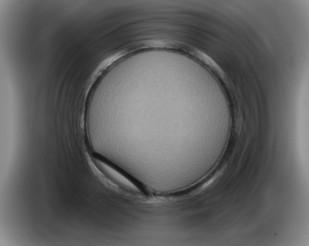X0000083570938200703091634