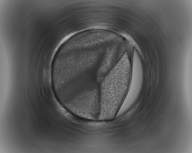 X0000083570939200703091634
