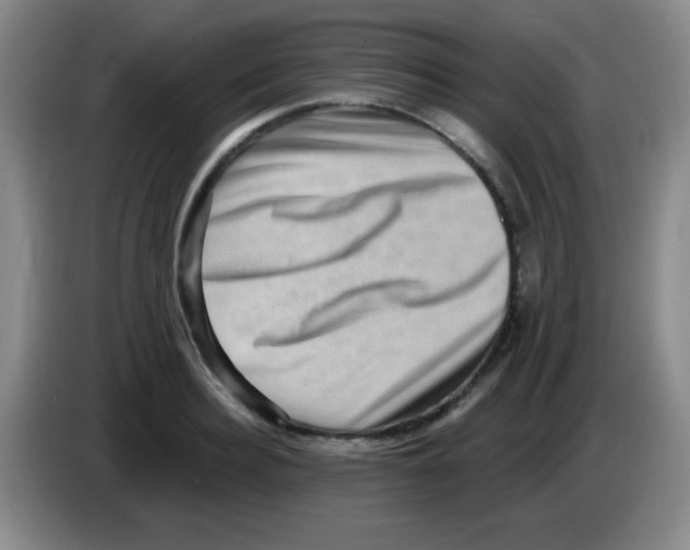 X0000083570940200703091634