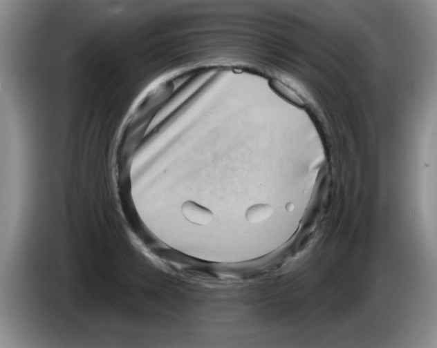 X0000083570942200703091634