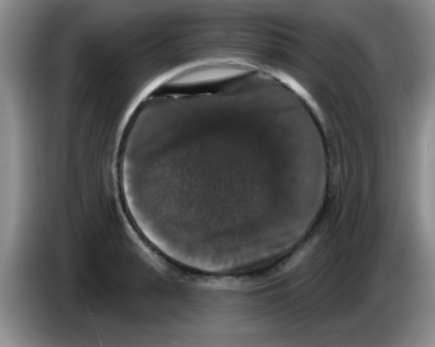 X0000083570943200703091634