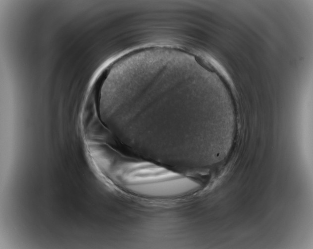 X0000083570944200703091634