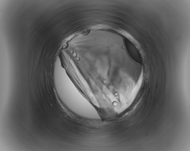 X0000083570945200703091634