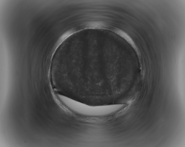 X0000083570946200703091635