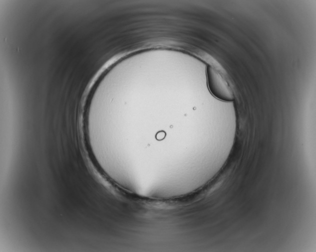 X0000083570947200703091635
