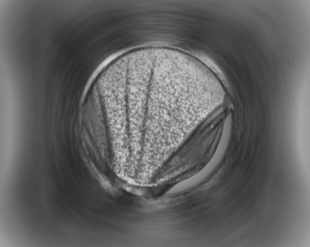 X0000083570948200703091635