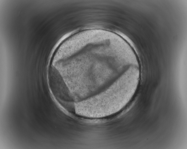 X0000083570949200703091635