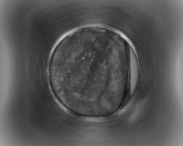 X0000083570951200703091635