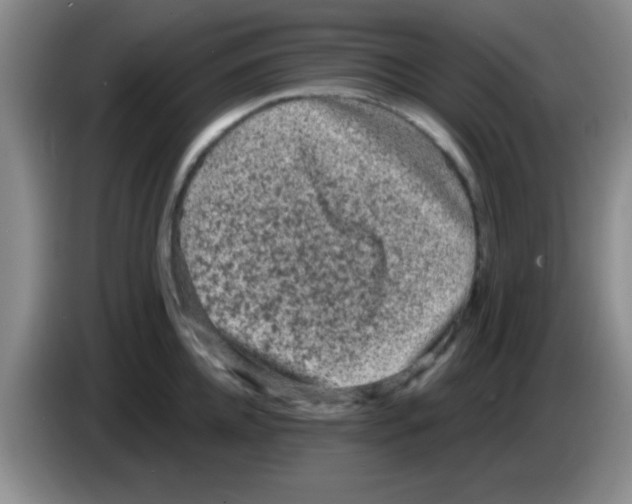 X0000083570952200703091635