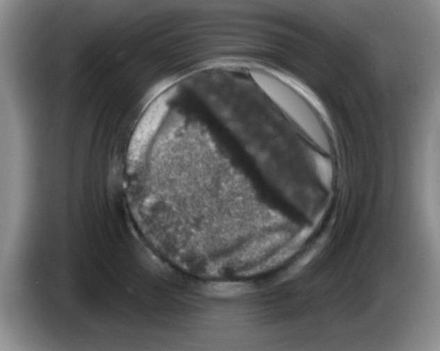 X0000083570953200703091635