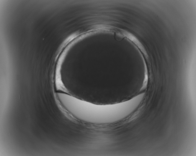 X0000083570954200703091635