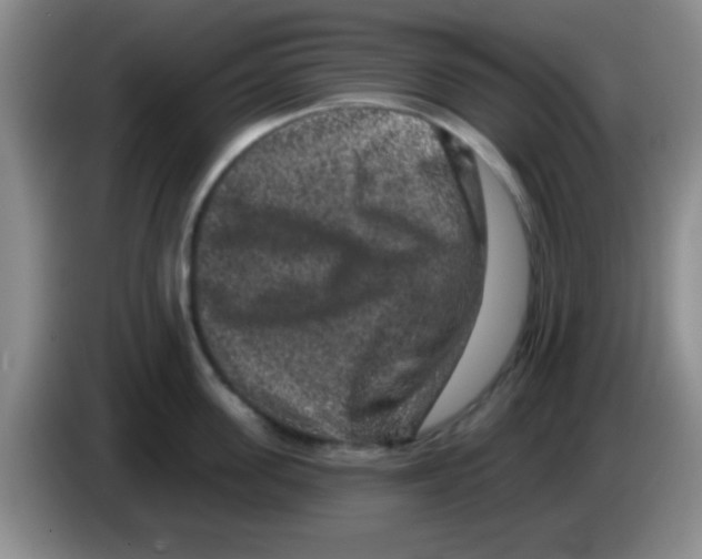 X0000083570955200703091635