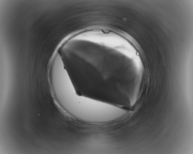 X0000083570958200703091635