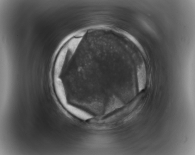 X0000083570959200703091635