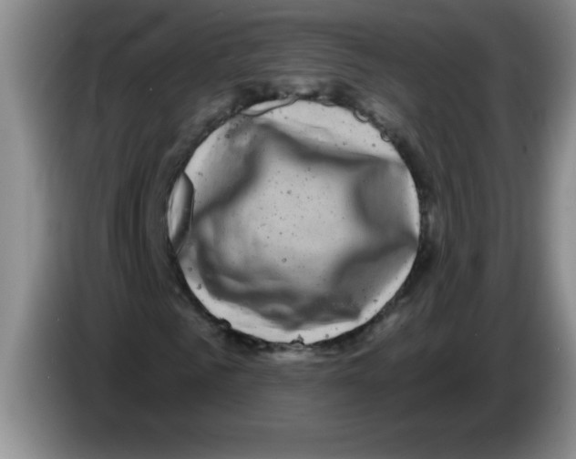 X0000083570961200703091634