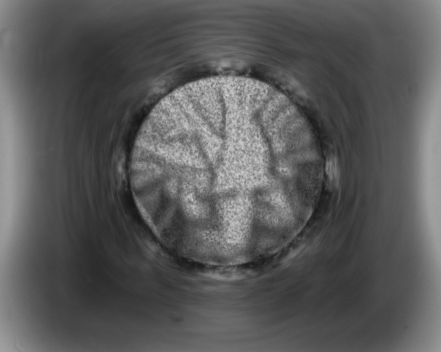 X0000083570963200703091634