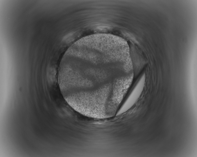 X0000083570964200703091634