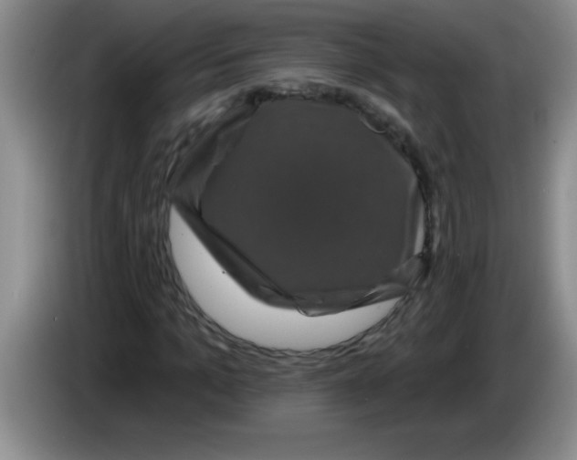 X0000083570965200703091634