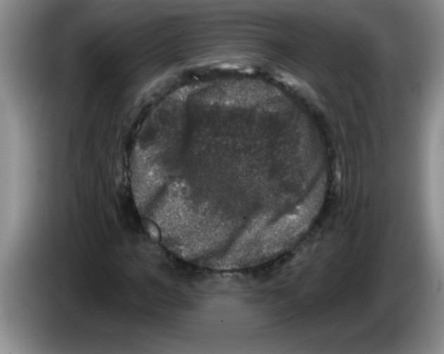 X0000083570966200703091634