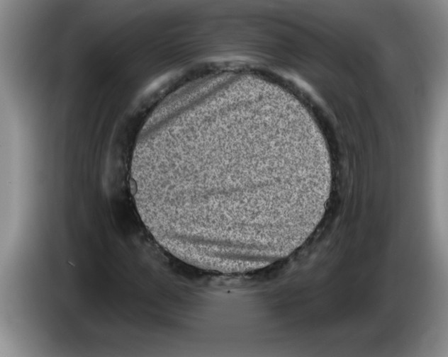X0000083570967200703091634