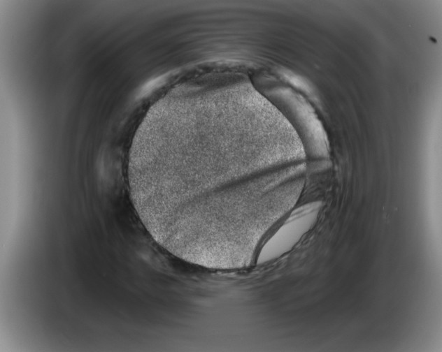 X0000083570968200703091634