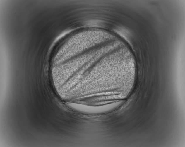 X0000083570971200703091634
