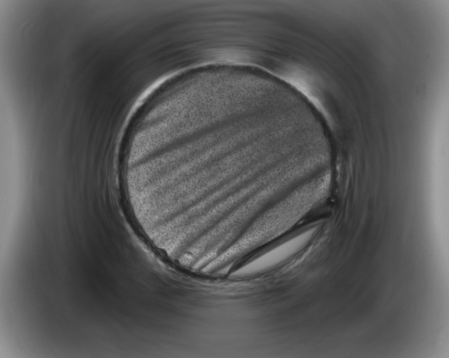 X0000083570972200703091634