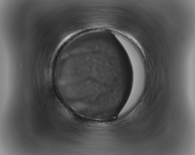 X0000083570975200703091634
