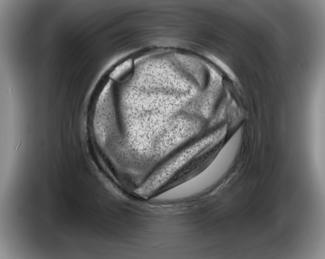 X0000083570976200703091634