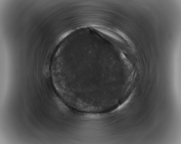 X0000083570977200703091634