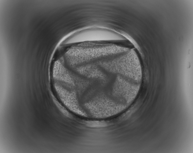 X0000083570980200703091634