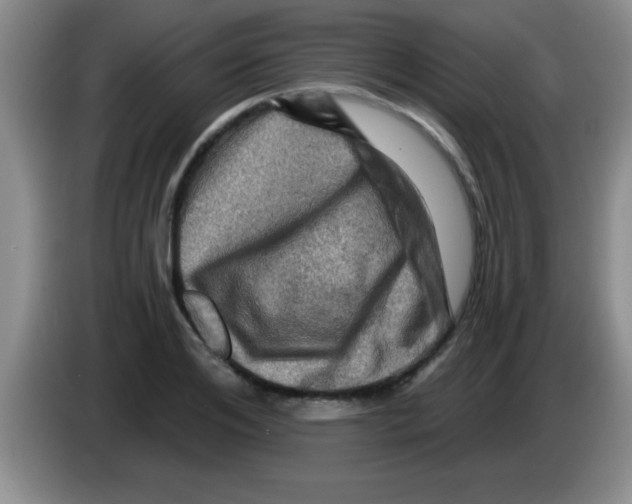 X0000083570984200703091634