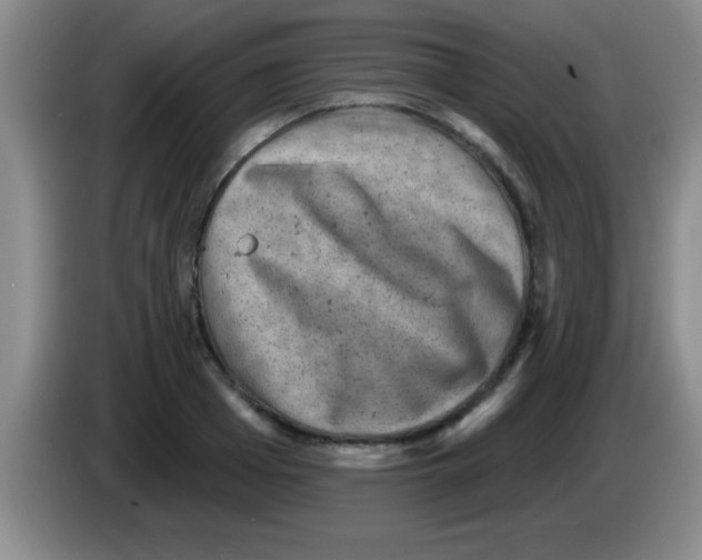 X0000083570985200703091634