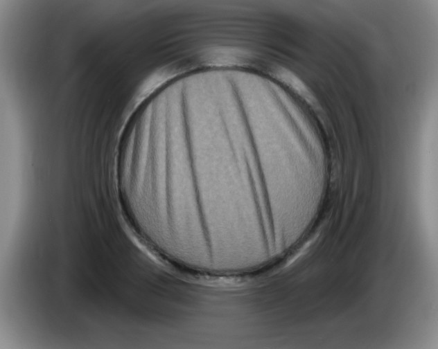 X0000083570986200703091634