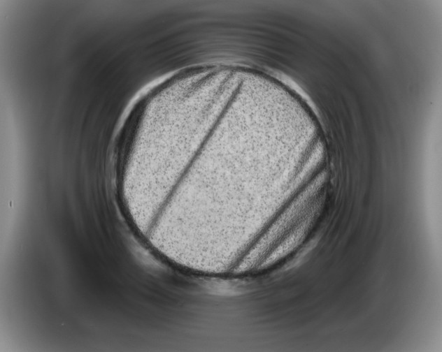 X0000083570987200703091634