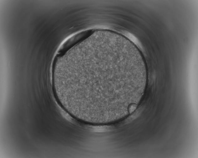 X0000083570988200703091634