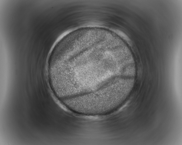 X0000083570990200703091634