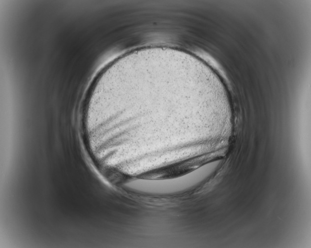 X0000083570991200703091634