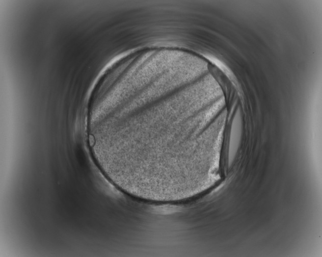 X0000083570992200703091634
