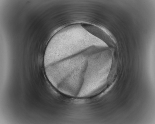 X0000083570993200703091634