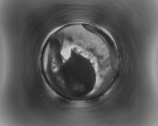 X0000083570995200703091634