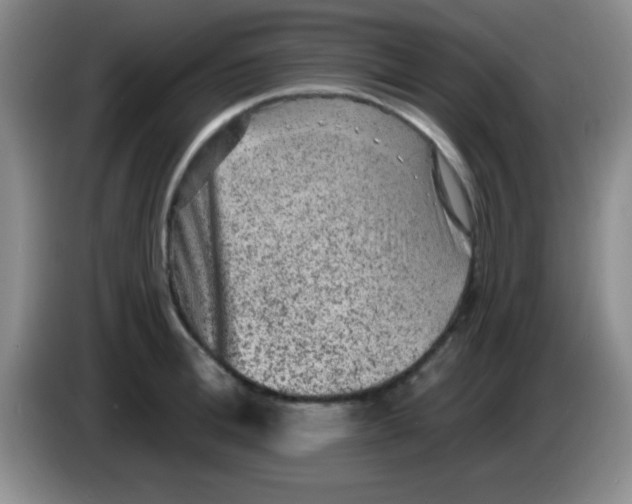 X0000083570996200703091634