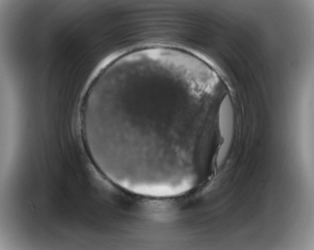 X0000083570998200703091634