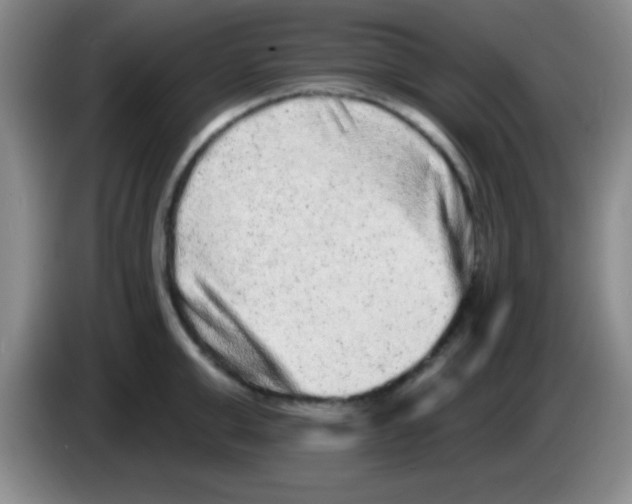 X0000083570999200703091634