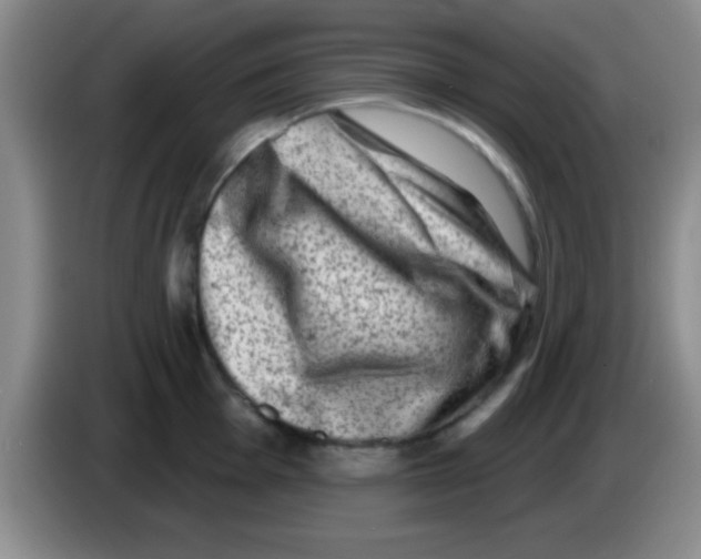 X0000083571001200703091633