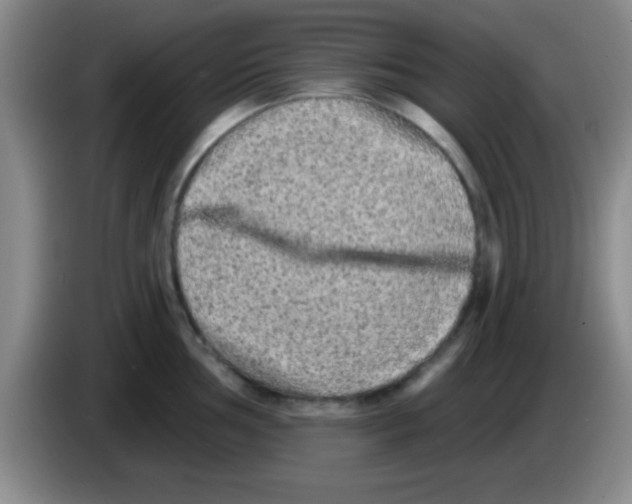X0000083571002200703091633